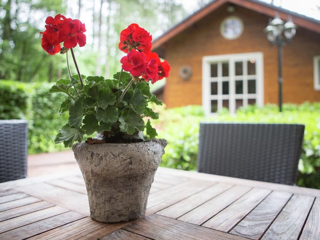 Вилла Luxurious Chalet In Oud Turnhout With Large Garden Ауд-Тюрнхаут Экстерьер фото